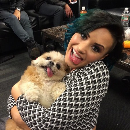 Demi se ve tierna con perritos